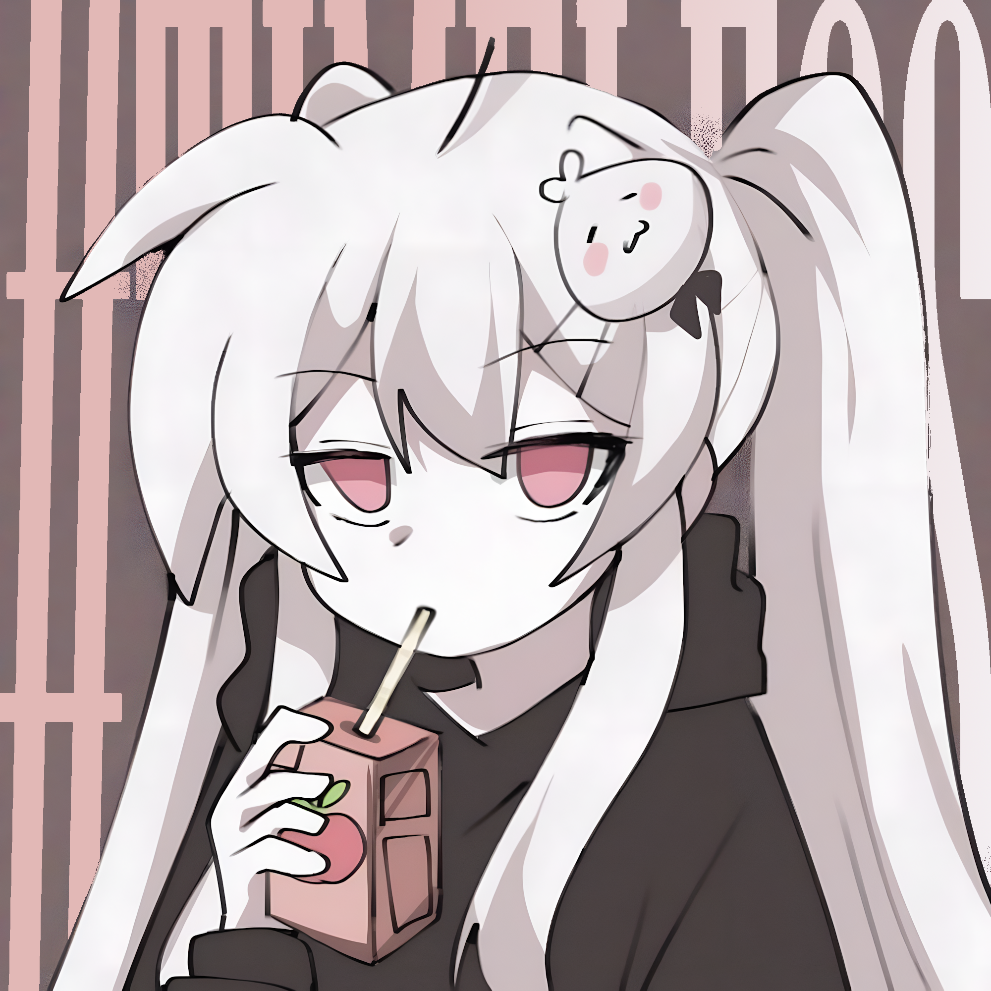 #timeless kit (2024)